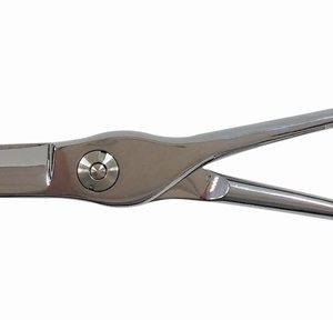 מספרי תלמיד מבריקים כולל נרתיק וולדן